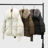 Indie - Elegantna jakna