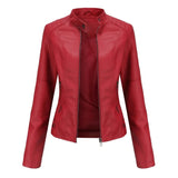 Stylish and elegant leather jacket