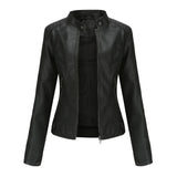 Stylish and elegant leather jacket